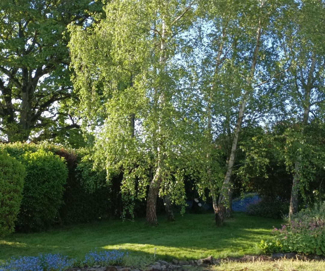 Bed and Breakfast Cadol'Ain Servignat Zewnętrze zdjęcie